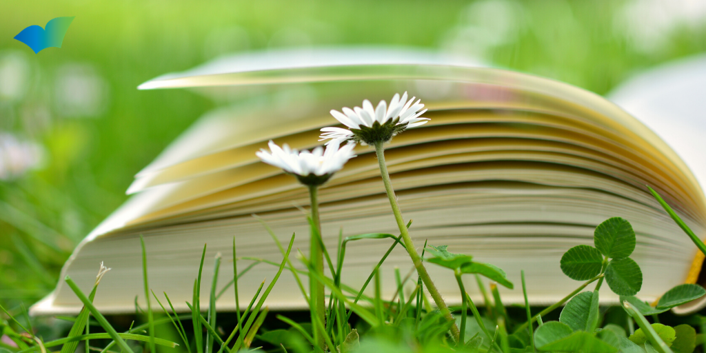 Your Favorite Summer Reads